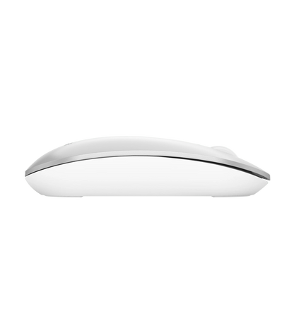 A4Tech Fstyler FB20S Dual Mode Silent Wireless Mouse New